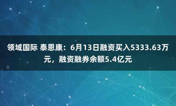 领域国际 泰恩康：6月13日融资买入5333.63万元，融资融券余额5.4亿元
